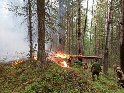 МЧС увеличивает группировку спасателей на пожаре в заповеднике "Денежкин камень" - nakanune.ru
