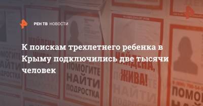 К поискам трехлетнего ребенка в Крыму подключились две тысячи человек - ren.tv - Крым - район Симферопольский