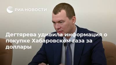 Михаил Дегтярев - Дегтярева удивила информация о покупке Хабаровском газа за доллары - ria.ru - США - Хабаровский край - Хабаровск - Сахалин