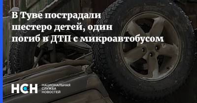 В Туве пострадали шестеро детей, один погиб в ДТП с микроавтобусом - nsn.fm - Кызыл - Тува