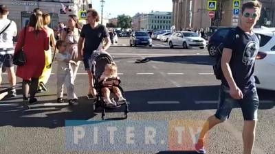 В самом центре Петербурга столкнулись два универсала KIA - piter.tv - Санкт-Петербург - Зеленогорск