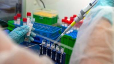 Вспышка коронавируса на ферме в Германии: среди инфицированных есть украинцы - ru.espreso.tv - Украина - Германия - Румыния - Венгрия - Болгария