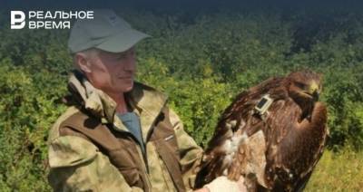 Орнитолог рассказал, как подсадил троих орлят в «приемные» гнезда в лесу Татарстана - realnoevremya.ru - респ. Татарстан