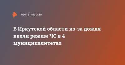 В Иркутской области из-за дождя ввели режим ЧС в 4 муниципалитетах - ren.tv - Иркутская обл.