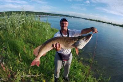 Новосибирский рыбак поймал «гигантского крокодила» - novos.mk.ru - Новосибирск