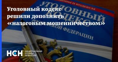 Елена Леоненко - Уголовный кодекс решили дополнить «налоговым мошенничеством» - nsn.fm - Россия - Следственный Комитет