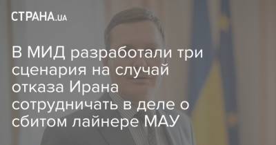 Евгений Енин - В МИД разработали три сценария на случай отказа Ирана сотрудничать в деле о сбитом лайнере МАУ - strana.ua - Украина - Киев - Иран - Тегеран