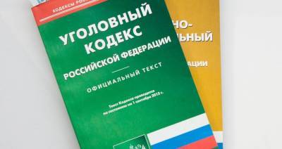 Юрий Синельщиков - В Госдуме оценили предложение добавить новую статью в Уголовный кодекс - m24.ru - Россия