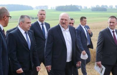 Александр Лукашенко - Лукашенко: Выборы - это вторично, а хлеб нужен всегда - ont.by - Белоруссия - Минск - район Несвижский