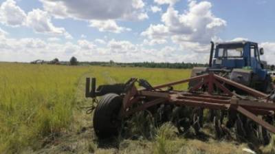 В Камешкирском районе мужчину насмерть придавило трактором в поле - penzainform.ru - Россия