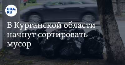 В Курганской области начнут сортировать мусор - ura.news - Курганская обл. - Шадринск