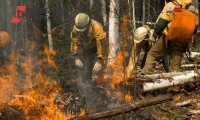 В двух районах Ямала горят леса - fedpress.ru - Салехард - Пуровск