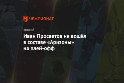 Илья Любушкин - Иван Просветов не вошёл в составе «Аризоны» на плей-офф - championat.com - Россия - Лос-Анджелес - шт.Нью-Джерси - Сан-Хосе - шт. Аризона - Оттава