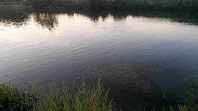 В Сосновоборском районе 58-летний мужчина утонул в Шкудимке - penzainform.ru - Россия - Пензенская обл.