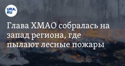 Наталья Комарова - Глава ХМАО собралась на запад региона, где пылают лесные пожары - ura.news - Югра - р-н Советский - Югорск