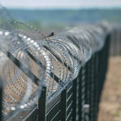Адан Гебрейесус - Майкл Райан - Закрытие границ само по себе не сможет предотвратить распространение коронавируса - radiomayak.ru