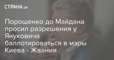 Петр Порошенко - Виктор Янукович - Павел Климкин - Давид Жвания - Порошенко до Майдана просил разрешения у Януковича баллотироваться в мэры Киева - Жвания - strana.ua - Украина - Германия - Киев