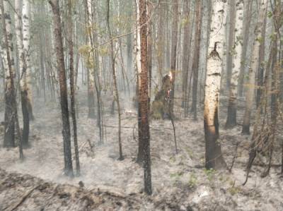 В Советском районе Югры, полыхающие леса которого облетали федеральные министры, снова ввели режим ЧС - nakanune.ru - Югра - р-н Советский - населенный пункт Угрозы