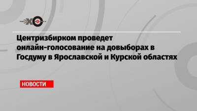 Николай Булаев - Центризбирком проведет онлайн-голосование на довыборах в Госдуму в Ярославской и Курской областях - echo.msk.ru - Нижегородская обл. - Курская обл. - Ярославская обл.