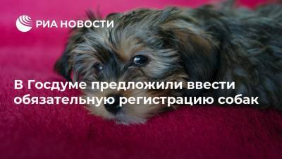 Олег Шеин - В Госдуме предложили ввести обязательную регистрацию собак - ria.ru - Россия