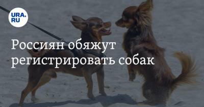 Олег Шеин - Россиян обяжут регистрировать собак - ura.news - Россия