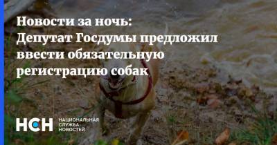 Олег Шеин - Новости за ночь: Депутат Госдумы предложил ввести обязательную регистрацию собак - nsn.fm
