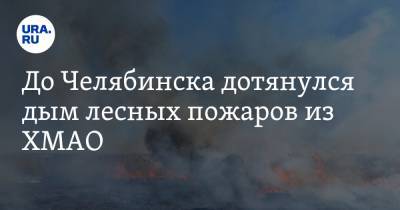 Виталий Безруков - До Челябинска дотянулся дым лесных пожаров из ХМАО - ura.news - Челябинская обл. - Челябинск - Югра