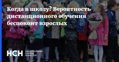 Сергей Кравцов - Когда в школу? Вероятность дистанционного обучения беспокоит взрослых - nsn.fm - Россия