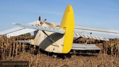Аглая Чайковская - Вертолеты нашли пропавший Ан-2 в Бурятии - politros.com - Иркутская обл. - респ.Бурятия