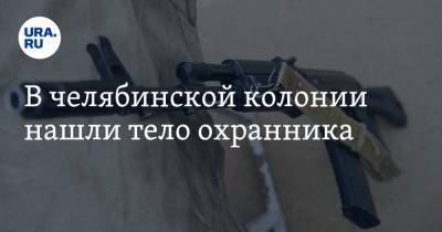 В челябинской колонии нашли тело охранника - ura.news - Челябинская обл. - Озерск