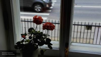 Трехлетний ребенок выпал из окна квартиры в Калининграде - newinform.com - Калининград