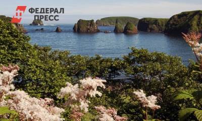 Огуречный остров в Обском море вернули государству - fedpress.ru - Новосибирск - район Искитимский