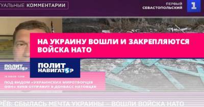 Олег Царев - На Украину вошли и закрепляются войска НАТО - politnavigator.net - Украина - Киев