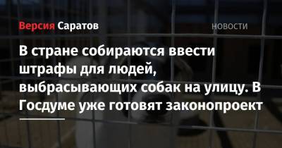 Олег Шеин - В стране собираются ввести штрафы для людей, выбрасывающих собак на улицу. В Госдуме уже готовят законопроект - nversia.ru - Россия