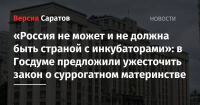 Ирина Яровая - «Россия не может и не должна быть страной с инкубаторами»: в Госдуме предложили ужесточить закон о суррогатном материнстве - nversia.ru - Россия