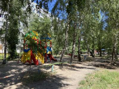 В Воронеже стаффорд загрыз йоркширского терьера - moe-online.ru - Воронеж