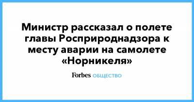 Министр рассказал о полете главы Росприроднадзора к месту аварии на самолете «Норникеля» - forbes.ru - Норильск