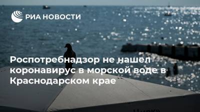 Роспотребнадзор не нашел коронавирус в морской воде в Краснодарском крае - ria.ru - Крым - Краснодарский край - Севастополь
