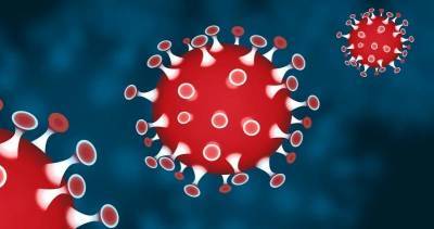 В Китае в пяти регионах распространился коронавирус - actualnews.org - Китай - Пекин - Далянь