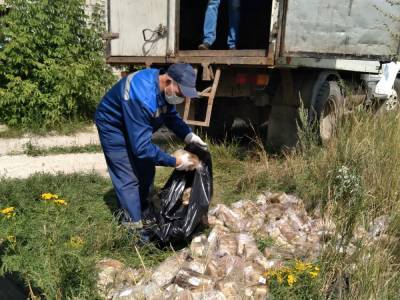 Производитель ликвидировал хлебную свалку в Дзержинске - vgoroden.ru - Дзержинск