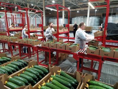 В Коми продолжается работа по созданию и модернизации рабочих мест в сфере АПК - komiinform.ru - респ. Коми