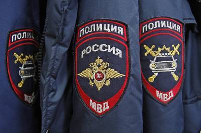 Василий Пискарев - Пискарев: проект о расширении полномочий полиции обсудят с экспертами в осеннюю сессию - pnp.ru - Россия
