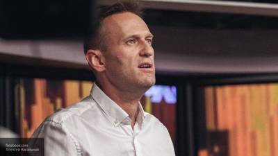 Алексей Навальный - Илья Ремесло - Ремесло заметил грубые ошибки в отчетах ФБК за прошедший год - politros.com - Россия