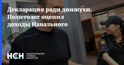 Алексей Навальный - Екатерина Винокурова - Декларация ради движухи. Политолог оценил доходы Навального - nsn.fm - Россия