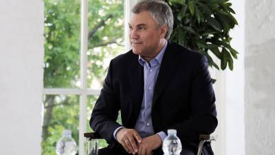 Вячеслав Володин - Володин призвал обсудить инициативы по защите прав детей с родителями и экспертами - gazeta.ru - Россия