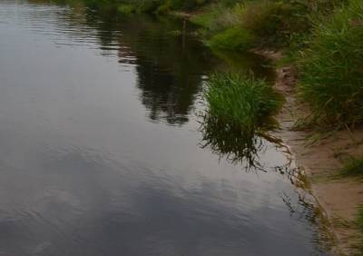 В Кораблинском районе мужчина утонул в реке - ya62.ru - Рязанская обл. - район Кораблинский