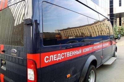 Расследованием ДТП в Тверской области с участием подростков занялся следственный комитет - tver.mk.ru - Тверская обл. - Череповец - район Калязинский