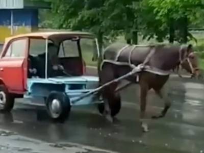 В Ровненской области очевидцы сняли на видео очень странную «повозку» - golos.ua - Украина - Англия - Ровненская обл.