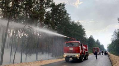 Пожары в Луганской области: убытки составляют более 1 млрд грн, уничтожено 8 тыс. га леса - ru.espreso.tv - Украина - Луганская обл.