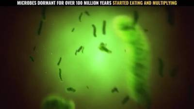 Биологи "воскресили" споры морских микробов возрастом более 100 млн лет - piter.tv